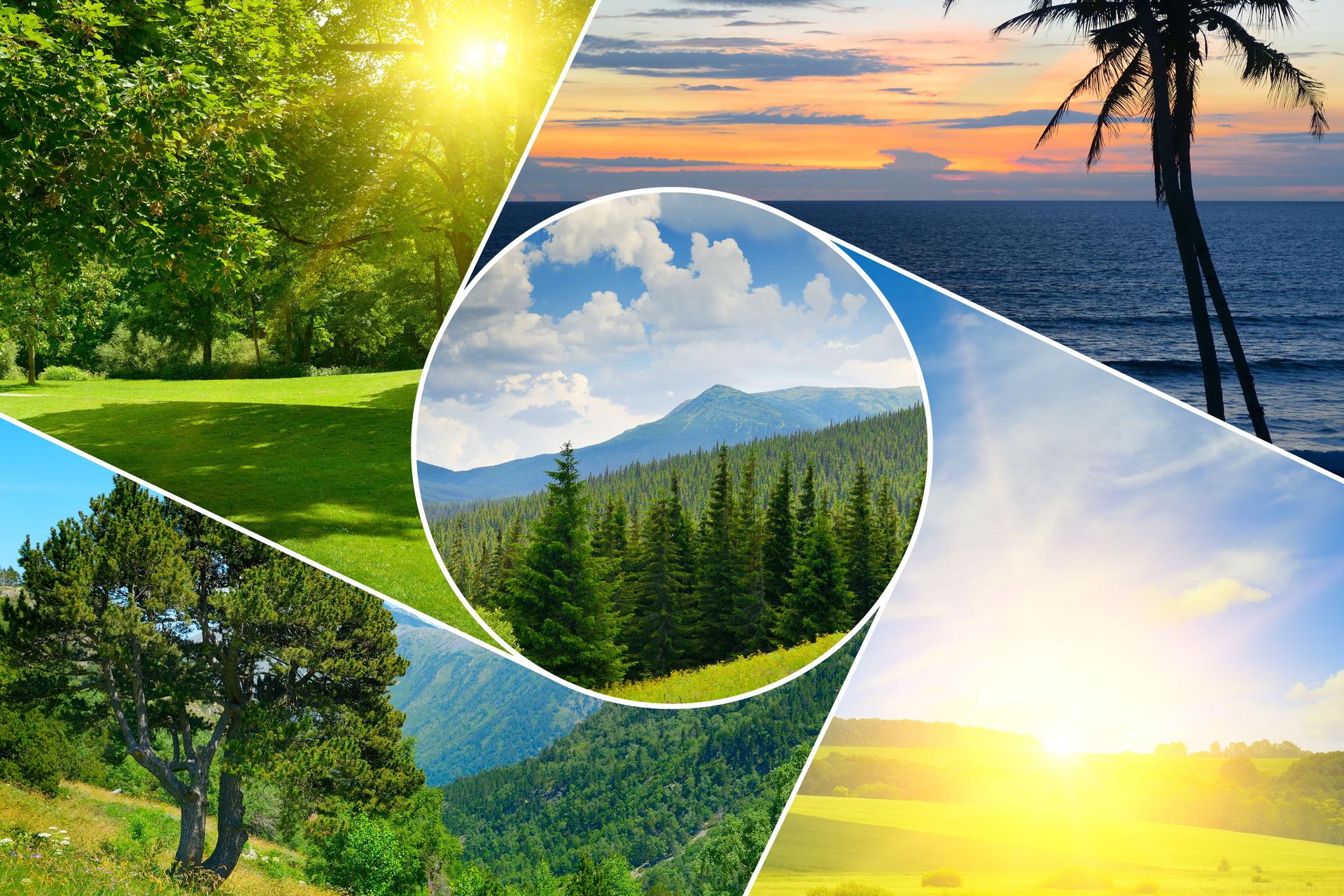 Beautiful landscapes from different parts of the world in an original frame.